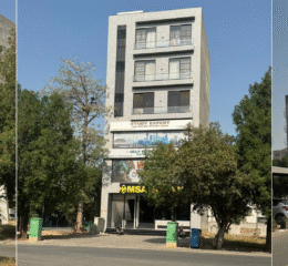 5 Marla Commercial Plaza